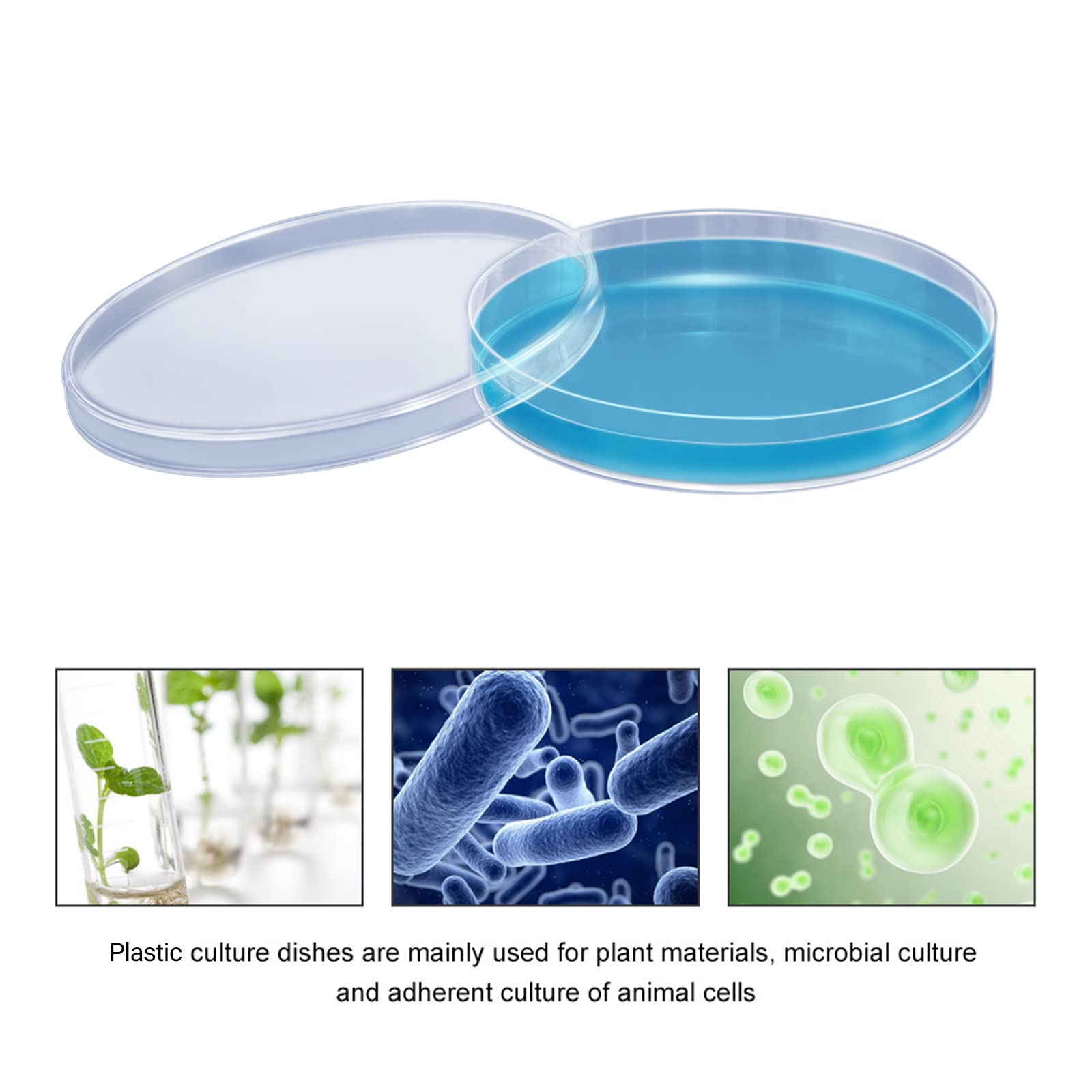 10 Pack Sterile Petri Dishes 55 X 15 Mm - Clear Plastic Lab Plates For Yeast/Mold