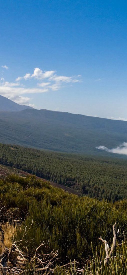 PeelitStickit, Beautiful Nature Wall Murals, ID-3197, vinyl