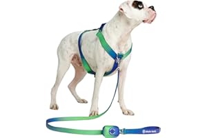 Spark Paws No Pull Dog Harness for Large Dogs, Heavy Duty Dog Harness for Big Strong Breeds, Adjustable, Y Shaped Padded Halter Design with Front Clip - Lime Wave - M