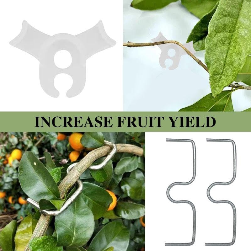 View 6