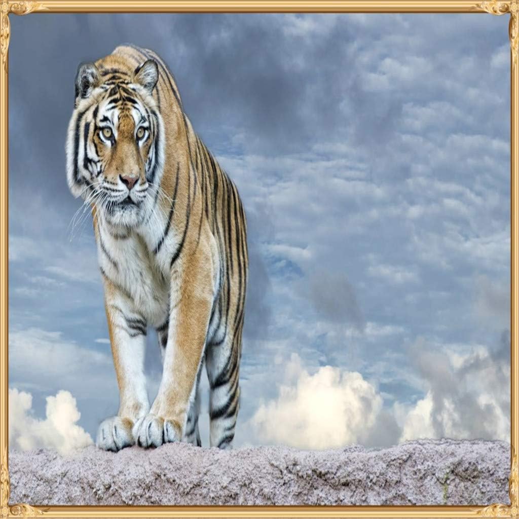 Woaills 5D Diamond Embroidery Painting Cross Stitch,Cat and Tiger DIY Home Decor Craft Square 11.81 Inches