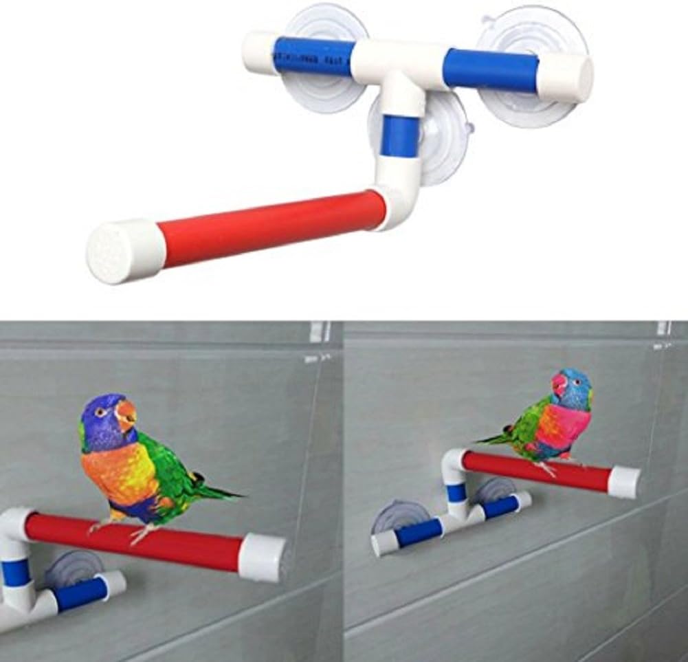 Suction Cup Shower Perch Stand for Bird Parrot Macaw African Greys