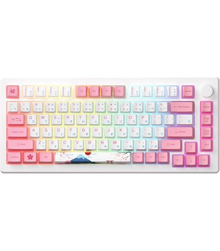 AKKO様 Macaw Keycap Set | Akko Official Global Site