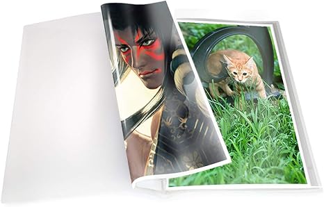 Amazon Raywood B2 ポスターファイル ケース 中紙あり 保管用収納ケース付き リフィル クリアポケット 保存 コレクション クリア40枚 通販