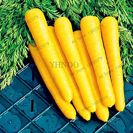 100pcs / bolsa de semillas de zanahoria, semillas de frutas ...