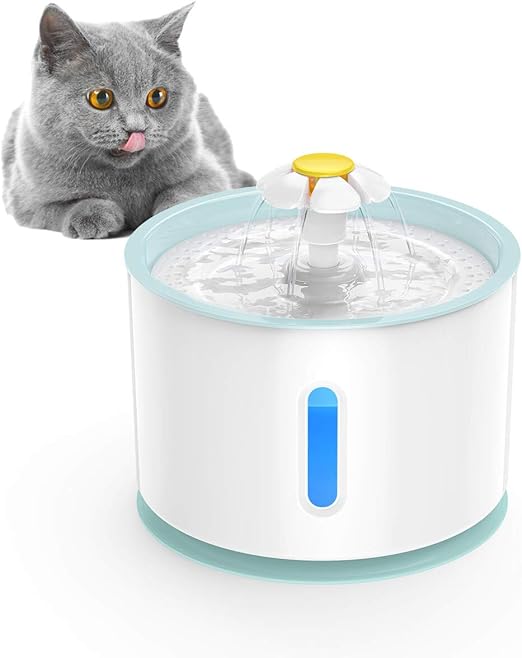 isyoung pet fountain