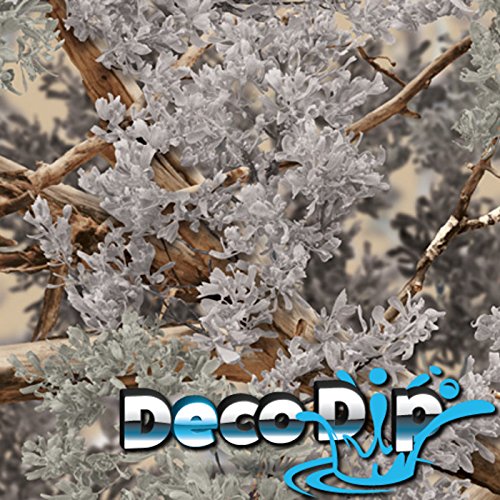 Buy Hydrographics Film Kit - Hydro Dipping - Deco Dip Kit - Outdoor ...
