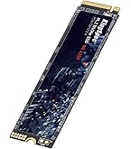 Amazon.com: KingSpec XG7000 1TB NVMe SSD PCIe 4.0-7400MB/s Read