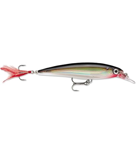 Amazon.com : Rapala X-Rap 10 Fishing Lure (Hot Head) : Fishing