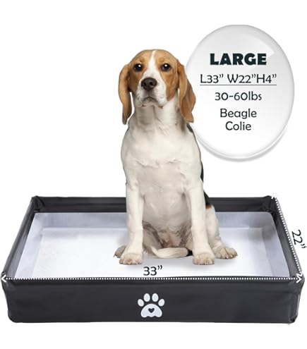 Bandeja Sanitaria Los Perros Pueden Hacer En Caja De Arena