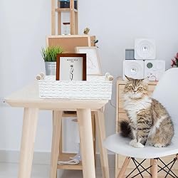 Small Storage Basket Wicker Baskets for Organizing
