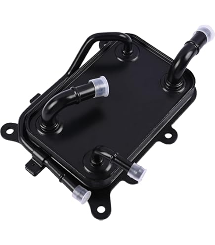Amazon.com: OEM Cooler Assy-Oil 264004A701 for Hyundai