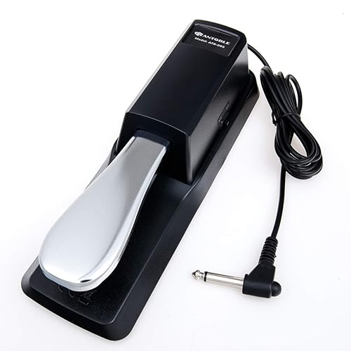 Sustain Pedal for Yamaha FC4 FC4A FC3A Acorn FP-2 M-Audio SP-2