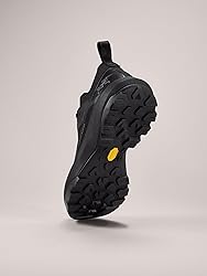Arc'teryx Vertex Alpine GTX Shoe Men's | Fast and