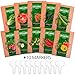Heirloom Vegetable Seeds [10 Variety] - Non GMO Vegetable Seeds For Planting Indoor or Outdoors, Brussel Sprouts, Carrots, Peppers, Cucumber, Kale, Romain, Peas, Radish, Tomato Seed - Prepper Supplies