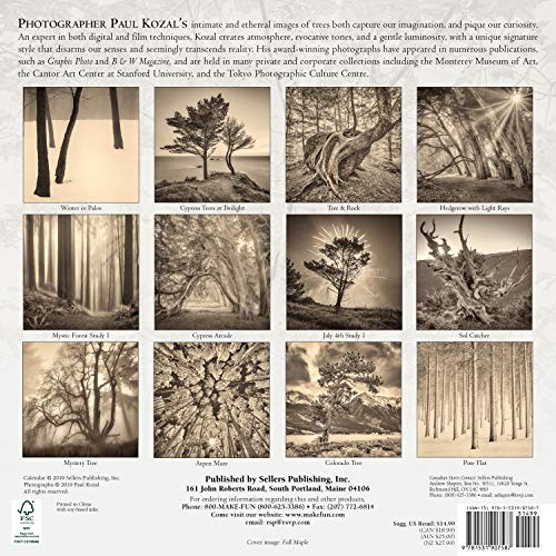2020 Calendar: The Nature of Trees 2020 Wall Calendar