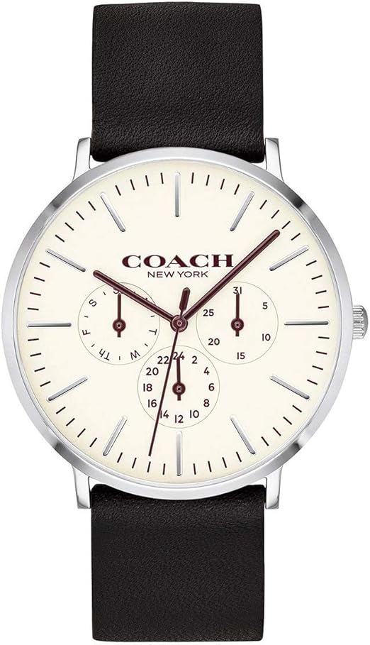 coach men's watches