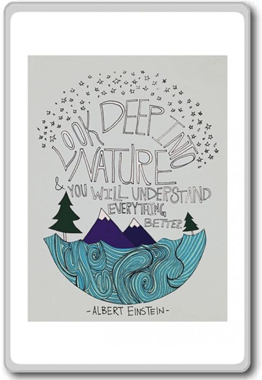 Albert Einstein, Look Deeper In The Nature And You Will ...