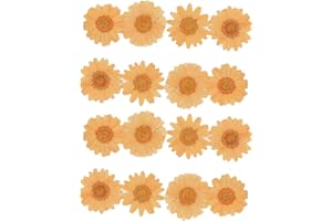 YUNZHI 50pcs Natural Dried Daisy Flower, Vacuum Packaging, Pressed Flower for House Decoration, Jewelry Making, Phone case Decoration (Orange)