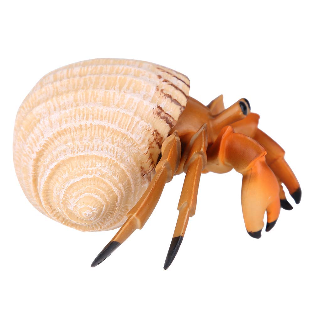 Tnfeeon Hermit Crab Toy Safe Educational Simulation Marine Biological Model Animal Hermit Crab Toys Gift for boys girls