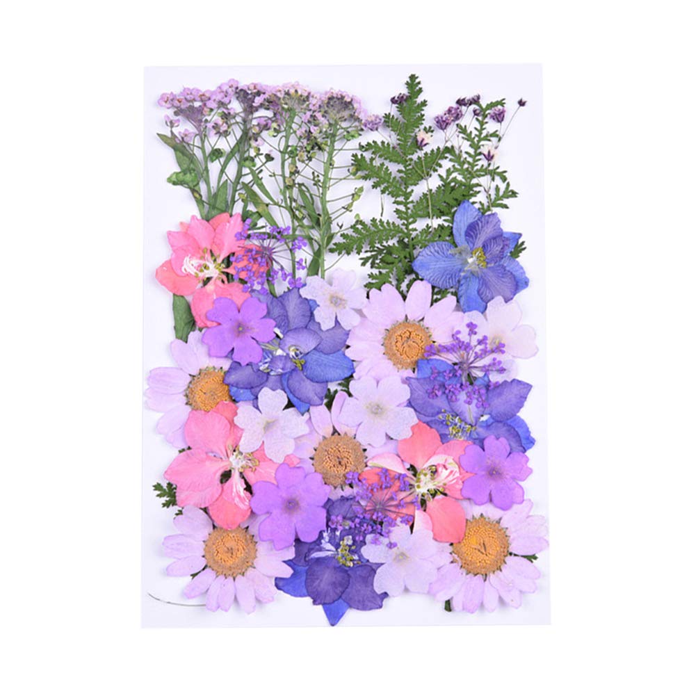 Milisten Dried Flower Material Bag 5.71X4.13 Inch Diy Handmade Mixed Flower Specimens for Home Wedding Party Table Decoration