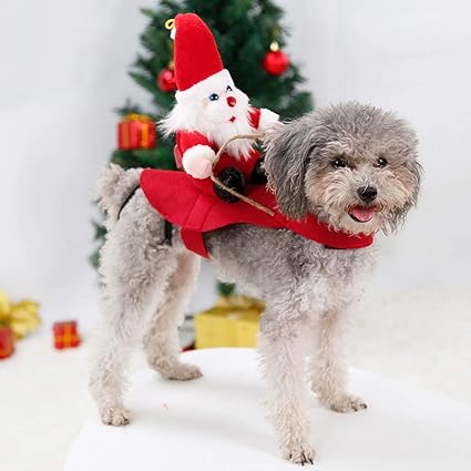Immagini Animali Di Natale.Costumi Natalizi Per Cani E Gatti Vestiti Per Animali Di Natale Divertenti Articoli Per Lequitazione Di Babbo Natale Vestiti Mantello Per Animali Giochi Di Ruolo Abbigliamento Set Regalo Amazon It Prodotti Per Animali
