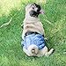 Wegreeco Jeans Washable Dog Diaper Male (Pack of 3) - Washable Male Dog Belly Wrap (Small)