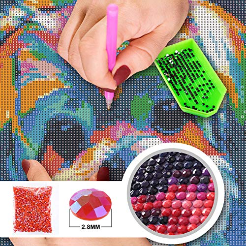 DIY 5D Diamond Painting Kits for Adults Full Drill Embroidery Paintings Rhinestone Pasted DIY Painting Cross Stitch Arts Crafts for Home Wall Decor 30x40cm/11.8×15.7Inches (Dog)