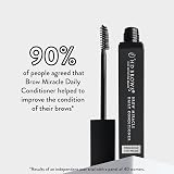 HD Brows Brow Miracle Daily Conditioner Conditioning Brow Serum Vegan Friendly view 6