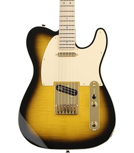 Fender Telecaster AmericanProfessionalⅡ Amazon.com: Fender American Professional II Telecaster