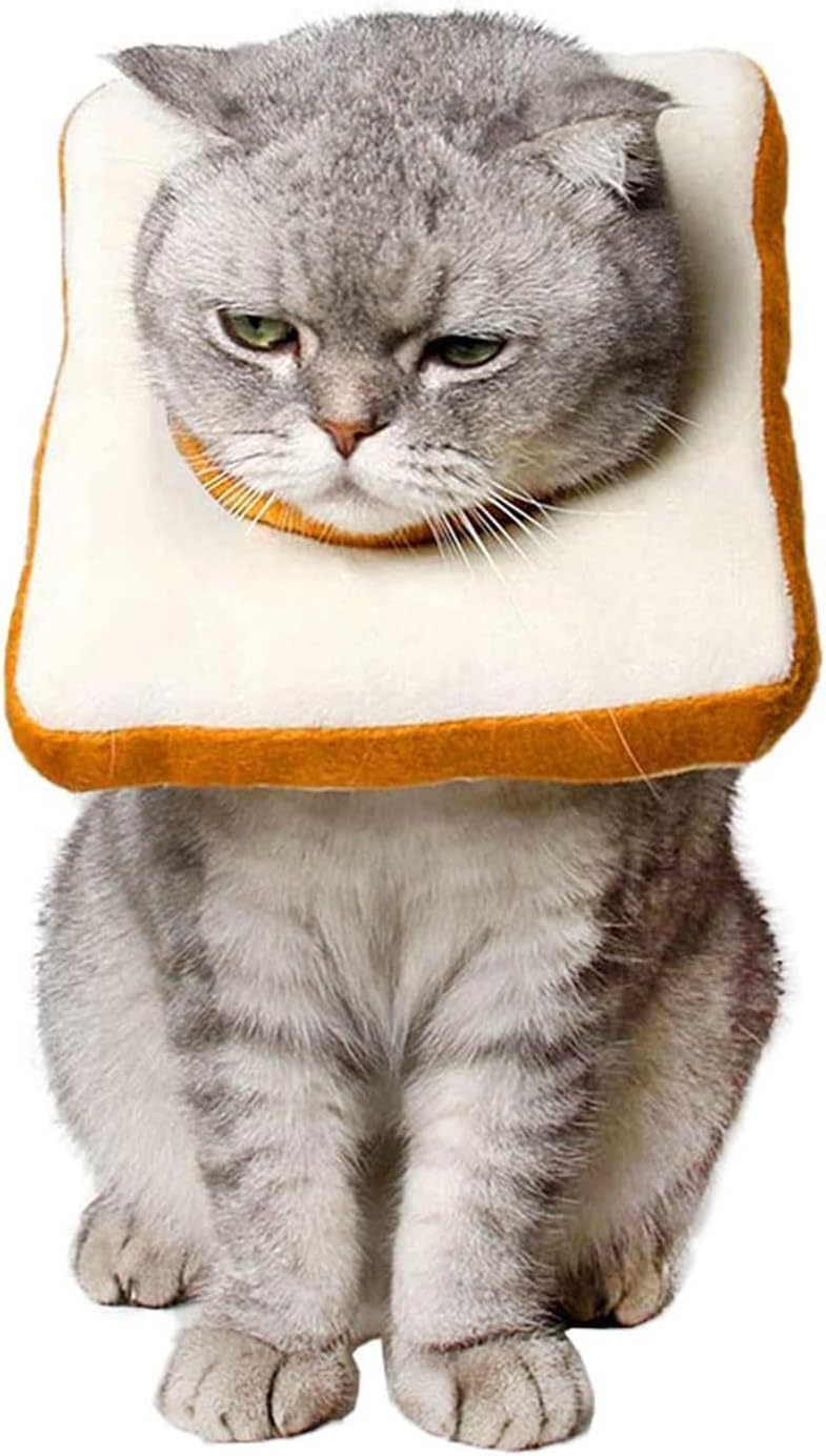 Photo 1 of Amakunft Adjustable Cat Recovery Collar - Soft Cone for Post-Surgery Care, Kitten & Adult Cat (Toast, M)