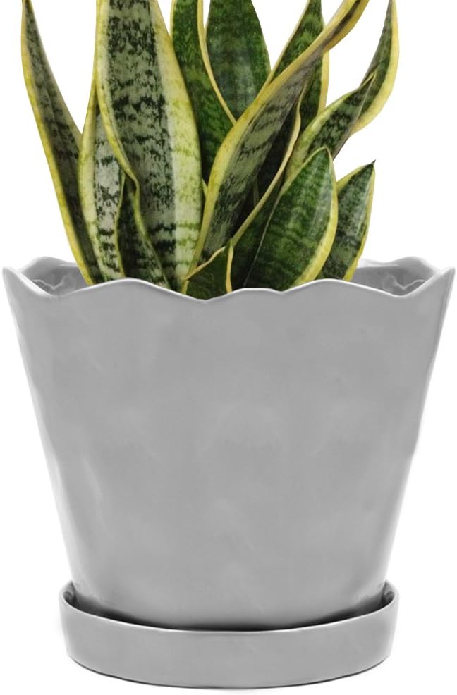 Chive - Tika, Succulent and Cactus Pot and Saucer Ceramic Flower and Plant Container with Drainage Hole and Detachable Saucer Great for Indoor/Outdoor Garden Decor (8 inches, Grey)
