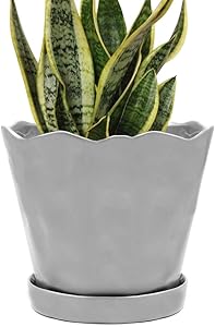 Chive - Tika, Succulent and Cactus Pot and Saucer Ceramic Flower and Plant Container with Drainage Hole and Detachable Saucer Great for Indoor/Outdoor Garden Decor (8 inches, Grey)