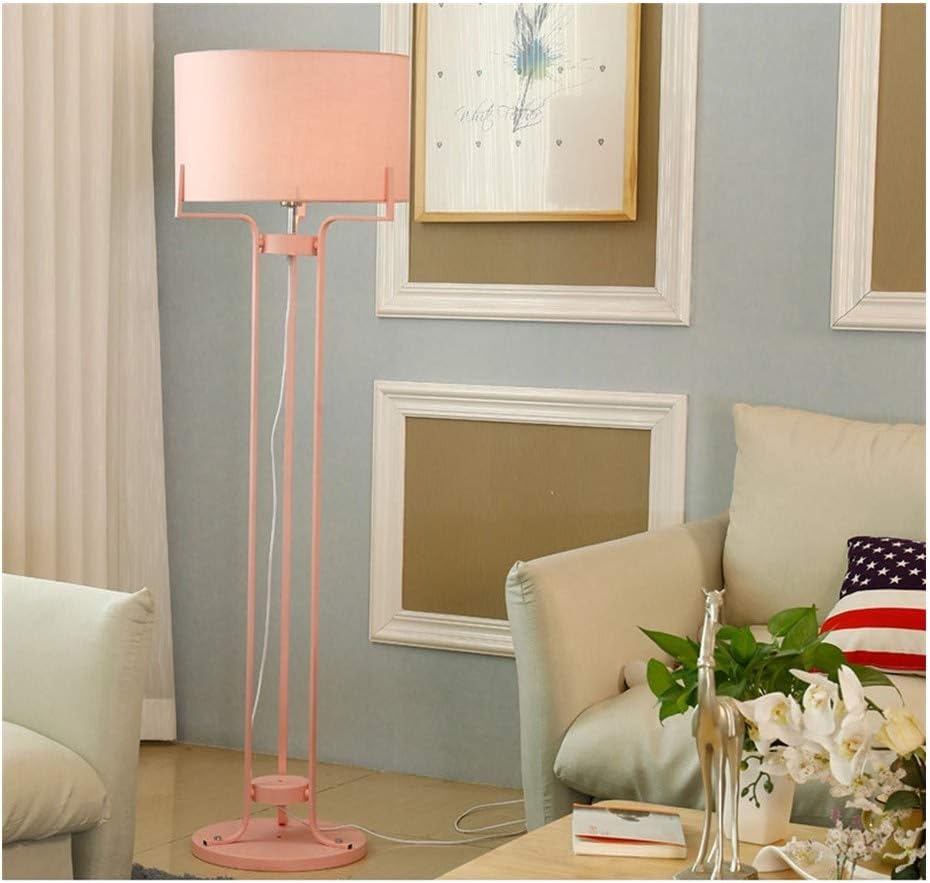 &Floor Lamp Floor Lamp, E27 * 1 Light Source Floor Lamp, Simple Post-Modern Down-to-Earth Living Room Study Vertical Floor Lamp Lamp (Color : C)