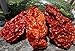 Three Squirrels, Dried Whole Ghost Chilies Peppers, Ghost Peppers, More than 1 million SHUs, Hottest Chili, Approx. 60 Pods, 2 oz.