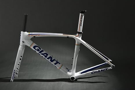 giant tcr m