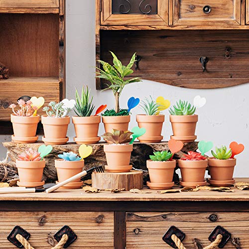 Terra Cotta Pots with Saucer- 17-Pack Clay Flower Pots with Saucers, Mini Flower Pot Planters for Indoor, Outdoor Plant, Succulent Display, Great for Plants,Crafts,Wedding Favor(3.1 inches)