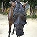 Standard Horse Size Fly Mask with Long Nose Black and Hair Opening - Good Vision Soft and Breathable, All Around Barn, Stable, Pasture, Trail Riding Fly and Sun Protection Fly Masks (Horse Size)