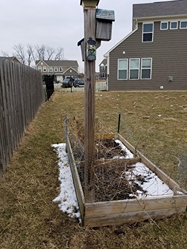Vizzlema Feeder Hog Light Outdoor Solar Feeder Light For Hunting