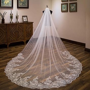 Long veil with lace trim Clearance