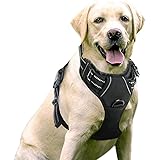 poypet no pull harness