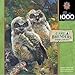 MasterPieces Carl Brenders Wildlife Collection Hidden in The Pines Jigsaw Puzzle, 1000-Piece