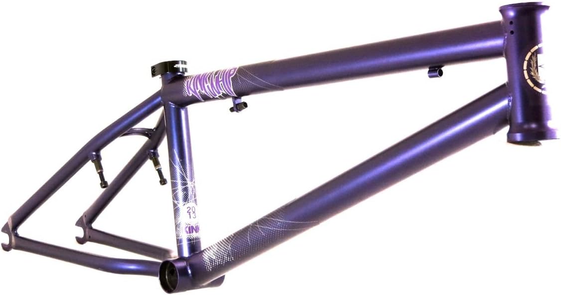 2013 kink whip