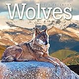 2020 Wolves Mini Calendar by