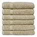 SALBAKOS 100% Turkish Cotton Hand Towel Set of 6 16x30 inch | Heirloom Quality | Hotel & Spa Collection | Ultra Soft, Super Absorbent, Long Lasting Hand Towels | Made in Turkey (Taupe, 6 Hand Towels)
