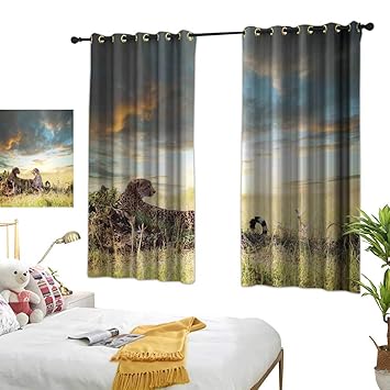 Amazon Com Warm Family Sheer Curtains Safari Decor Two Cheetahs