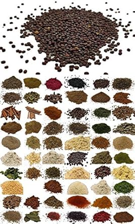 erhalte 10 Gewürze zum Preis von 5 - Senfkörner Schwarz 100g - SPICESontheWEB