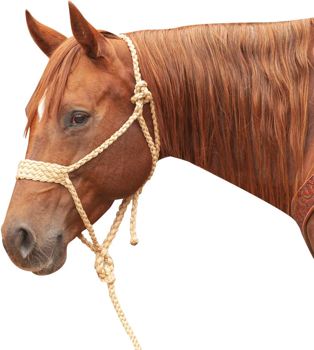 Classic Rope Company Classic Wide Nose Mule Tape Halter