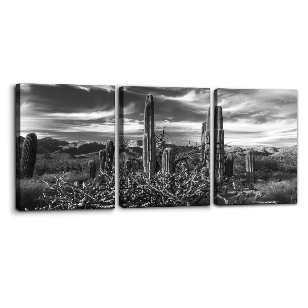 Photo 1 of Pacimo 3 Pieces Black and White Canvas Wall Art Sunset Landscape of National Park Arizona Sonoran Desert Cactus Pictures Painting Prints on Canvas Modern Artwork for Home Office Decor - 12"x16"x3