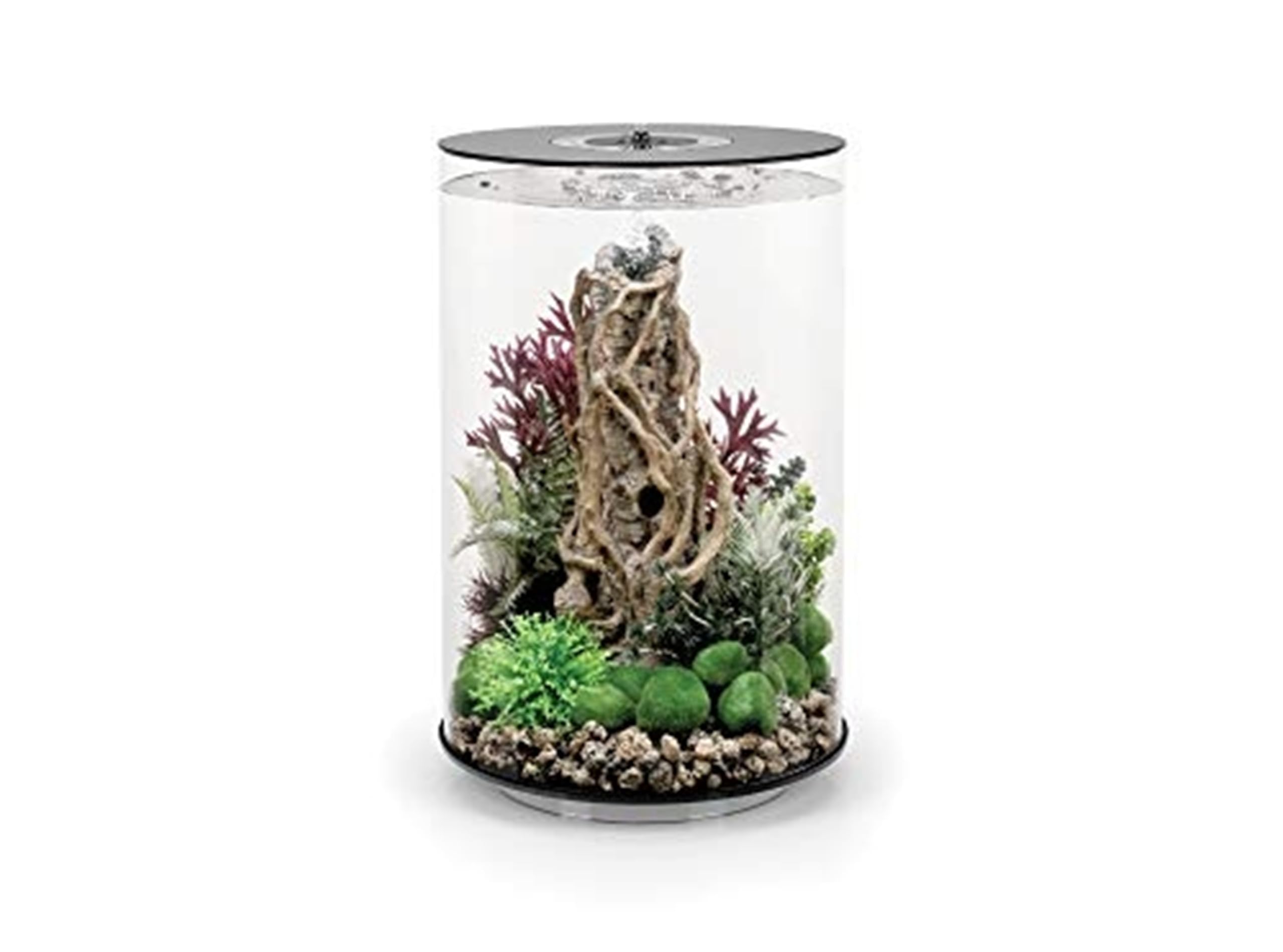biOrb 72066 TUBE 30 LED black - 30 litre 360-degree decorative aquarium complete set made of acrylic glass with LED lighting, filter system and ceramic base